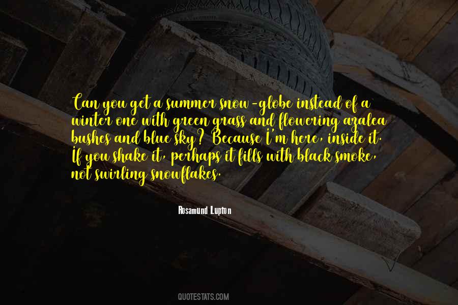 Summer's Here Quotes #504025