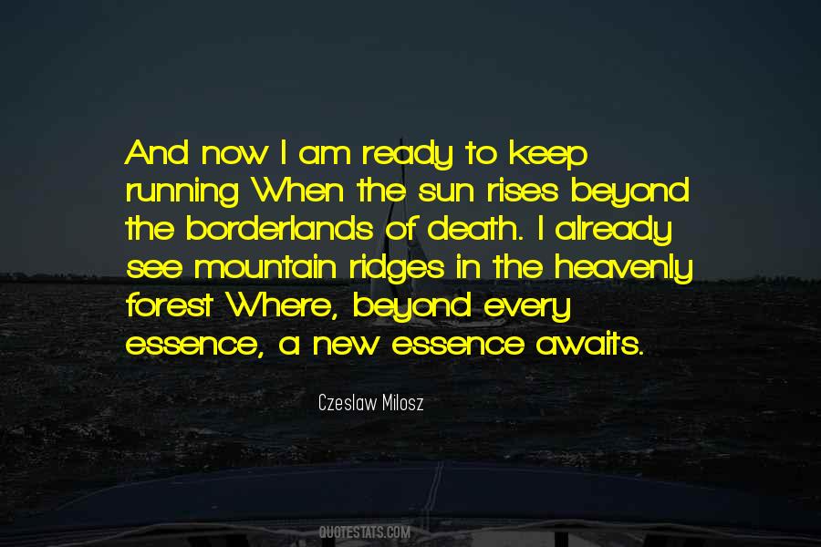 Sun Also Rises Quotes #639017