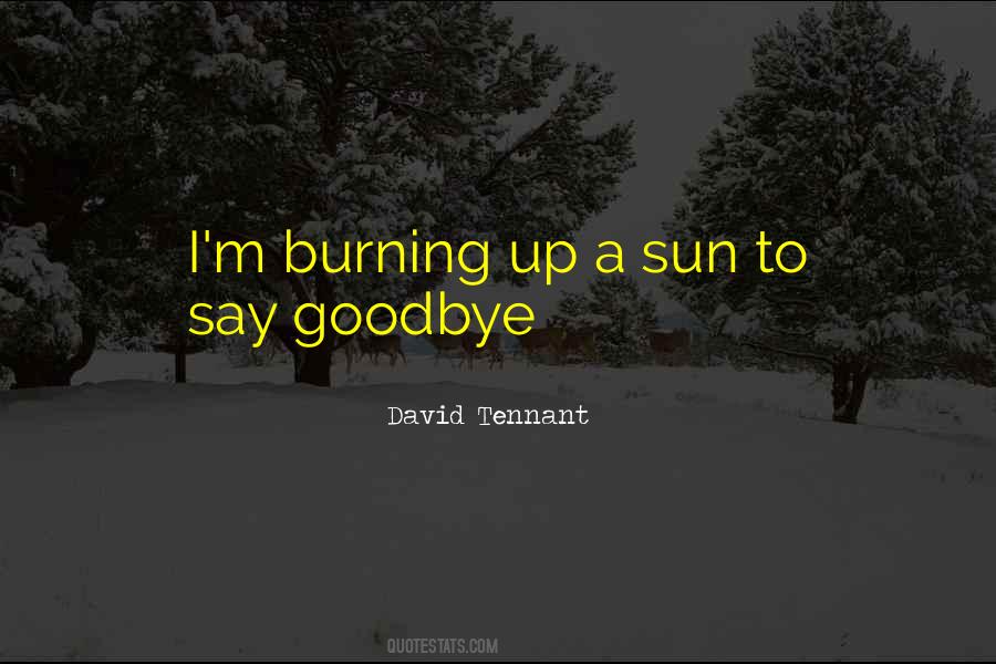 Sun Burning Quotes #253552