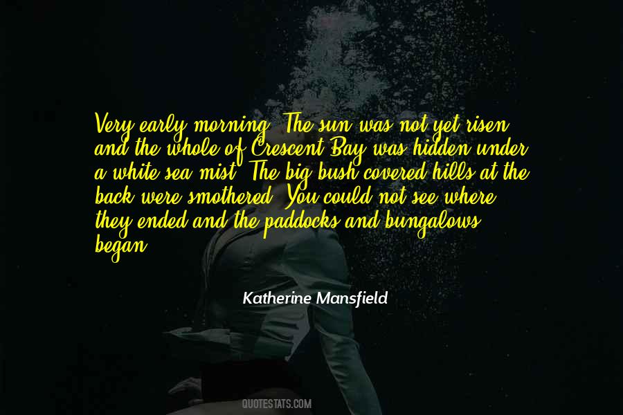 Sun Hidden Quotes #609490