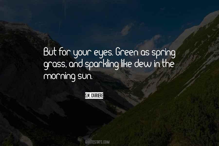 Sun In Eyes Quotes #519980