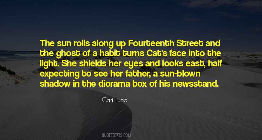 Sun In Her Eyes Quotes #1756240
