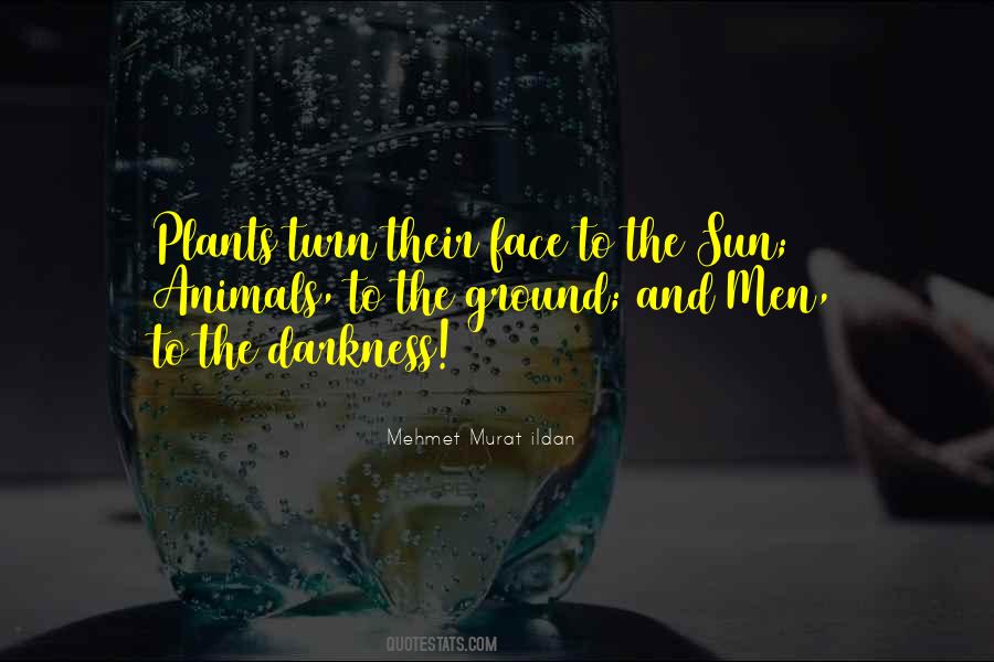 Sun In My Face Quotes #94139