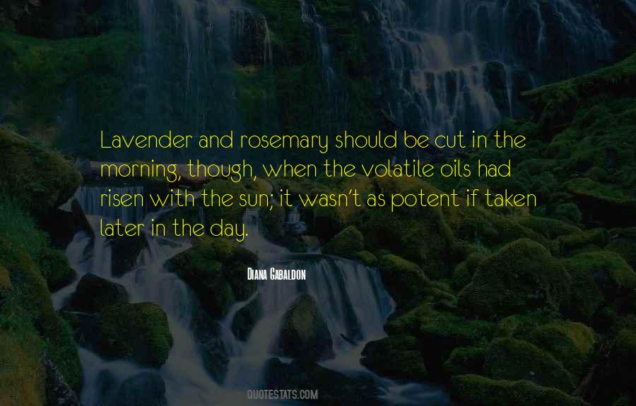 Sun In The Morning Quotes #183917