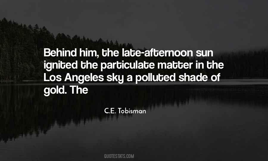 Sun In The Sky Quotes #502915