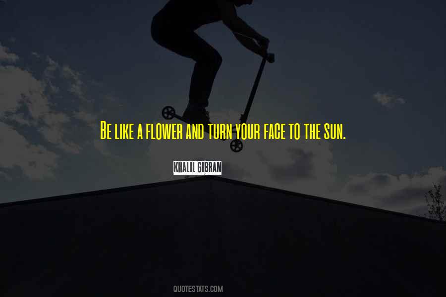 Sun On My Face Quotes #87547