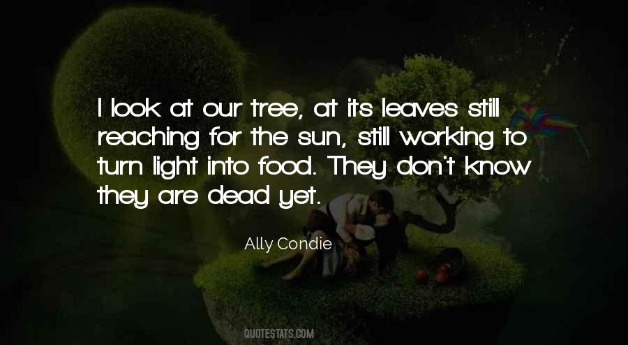 Sun Tree Quotes #1112504