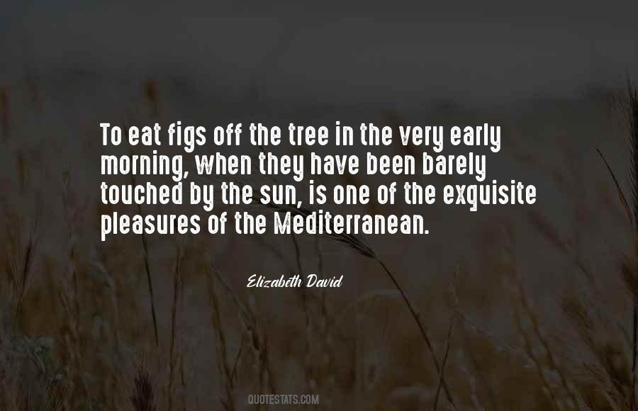 Sun Tree Quotes #1192302