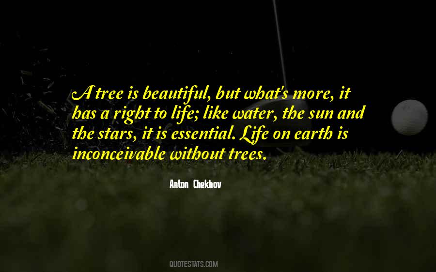 Sun Tree Quotes #1572829