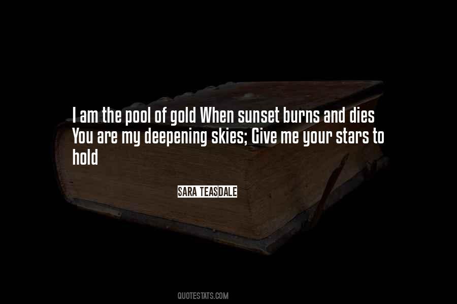 Sunset Skies Quotes #1353687