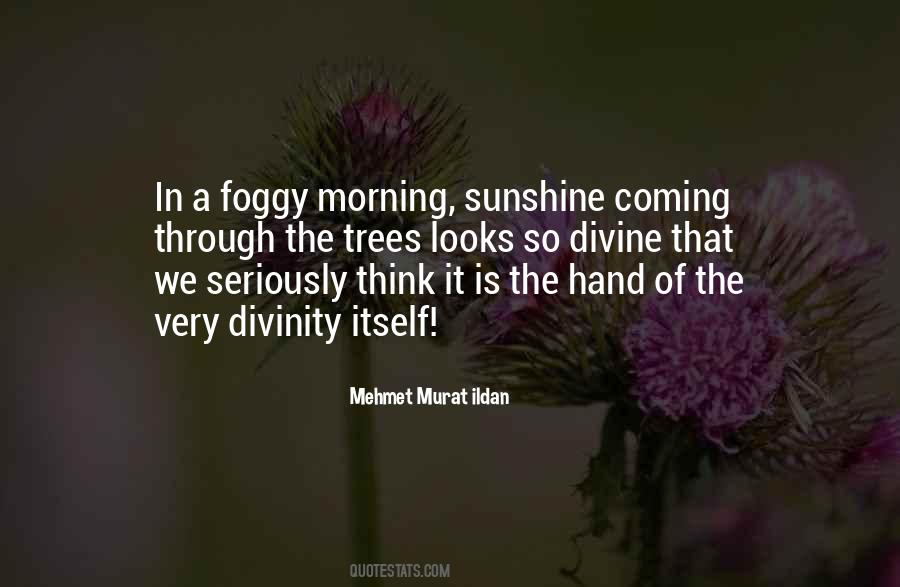 Sunshine In The Morning Quotes #1616397