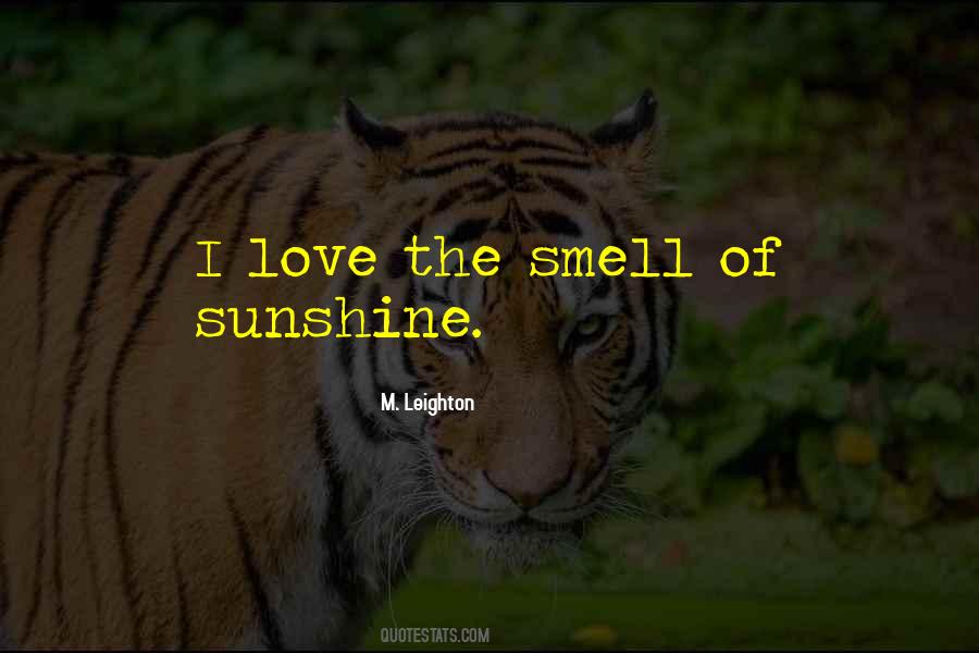 Sunshine Love Quotes #1028265