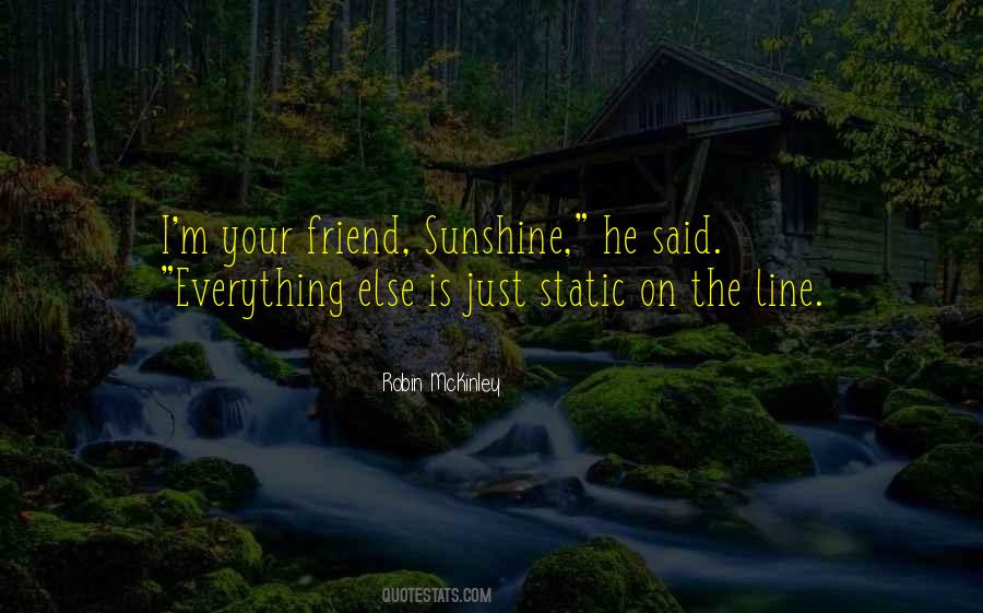 Sunshine Robin Mckinley Quotes #716318