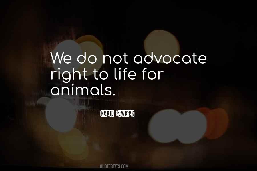 Quotes About Peta #484444