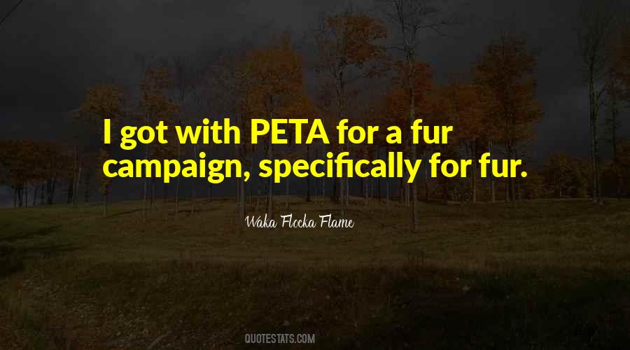 Quotes About Peta #67485