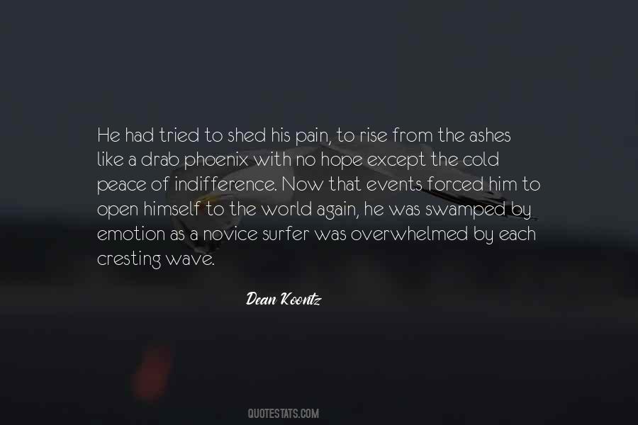 Surfer Quotes #10909