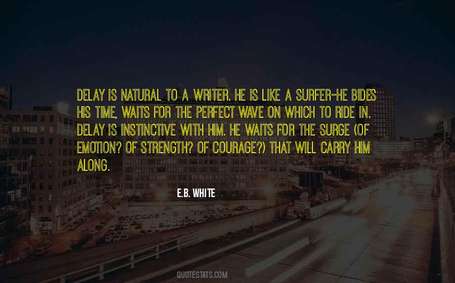 Surfer Quotes #391474