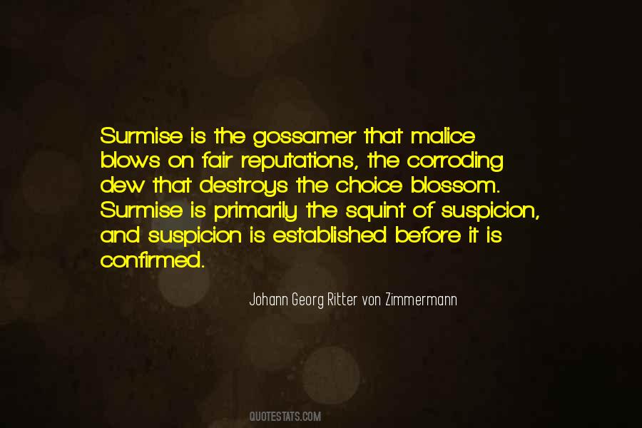 Surmise Quotes #116740