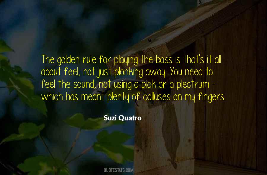 Suzi Quotes #930802