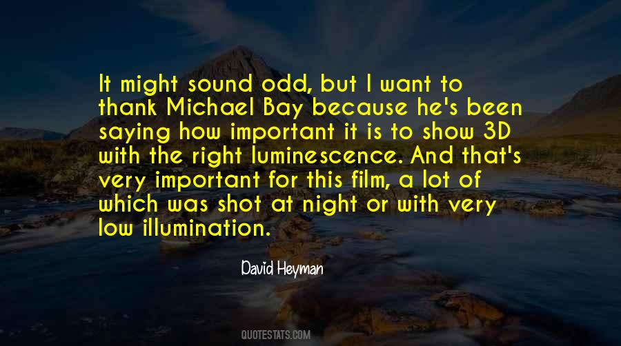 Quotes About Michael Bay #1484796