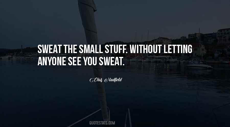 Sweat Small Stuff Quotes #1435600