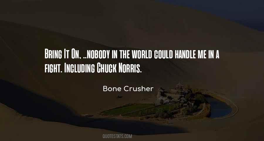 Quotes About Chuck Norris #36009