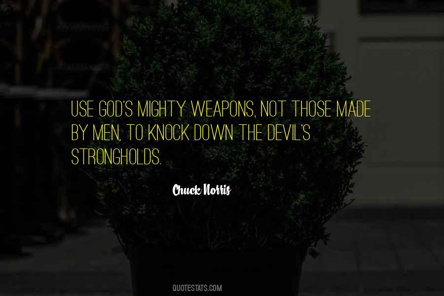 Quotes About Chuck Norris #482158