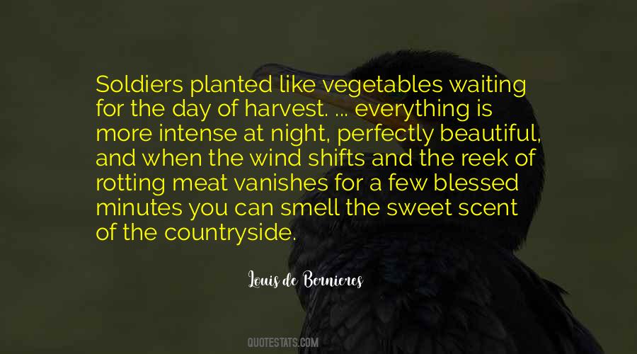Sweet Scent Quotes #747478