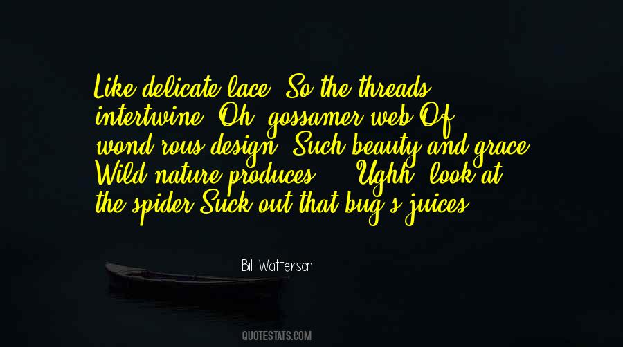 Quotes About Lace #1007345