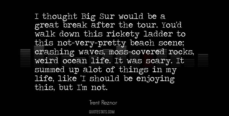 Quotes About Trent Reznor #595500