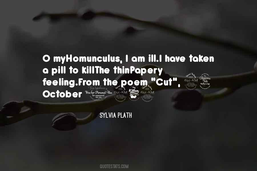 Sylvia Plath Best Quotes #55546