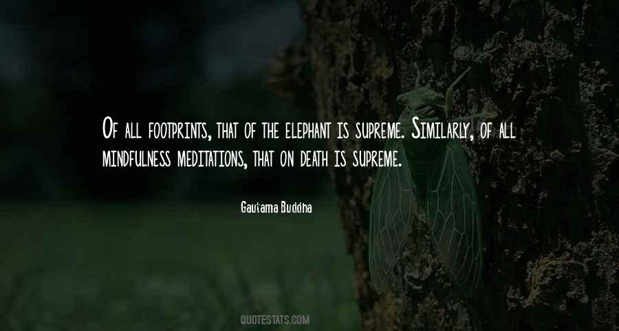Quotes About Gautama Buddha #14912