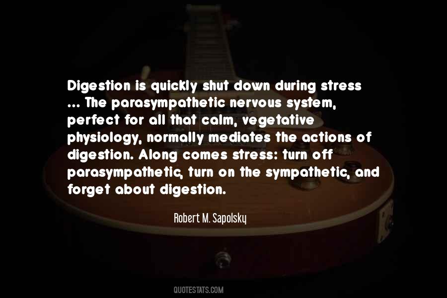 System Of Down Quotes #527109
