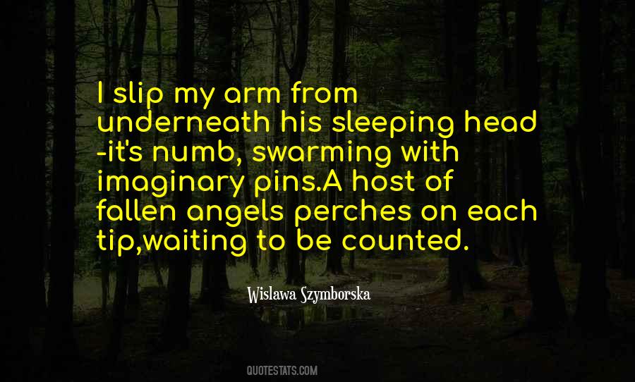 Szymborska Quotes #434348