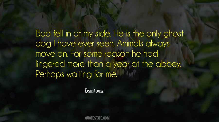 T Dog Waiting Quotes #1661082