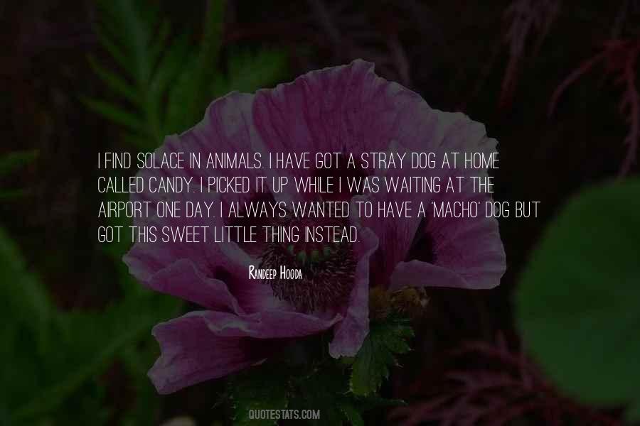 T Dog Waiting Quotes #1696069