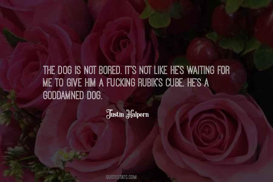 T Dog Waiting Quotes #1849559