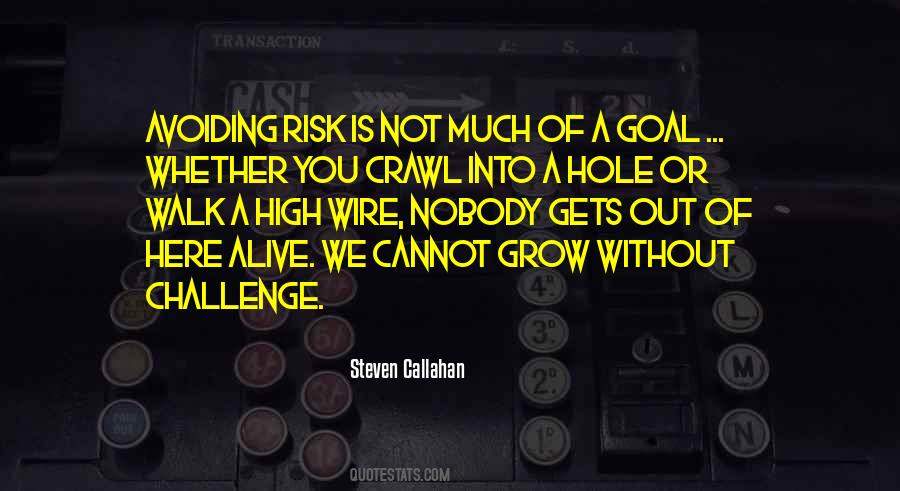 Quotes About Avoiding Risk #1541121