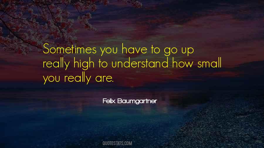 Quotes About Felix Baumgartner #1601478