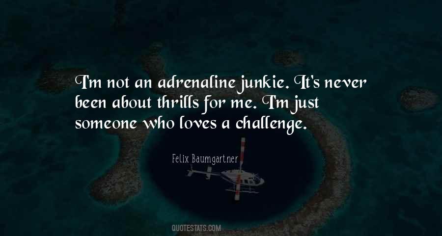 Quotes About Felix Baumgartner #749963