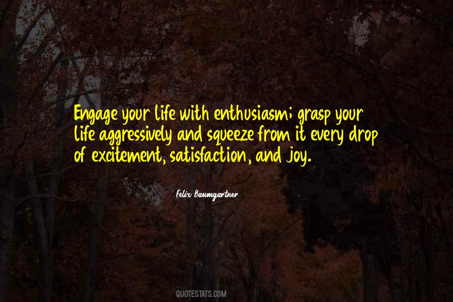 Quotes About Felix Baumgartner #774224