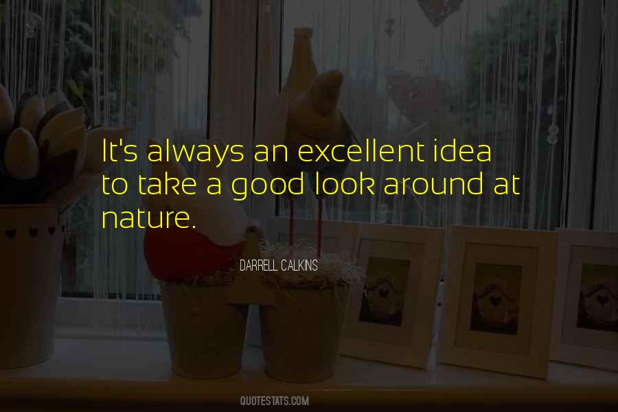 Take A Good Look Quotes #23503