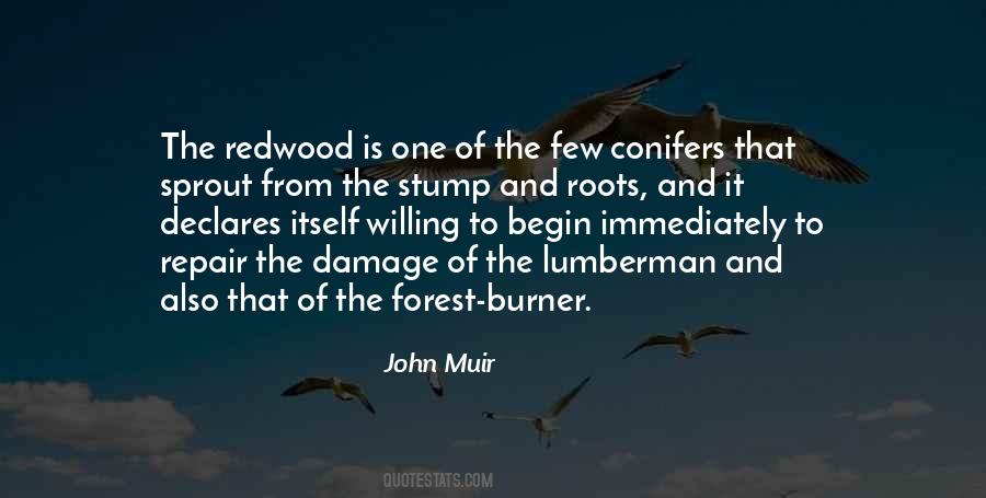 Quotes About 169 #1113492