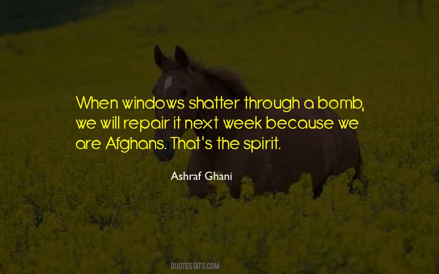 Quotes About Afghans #565346