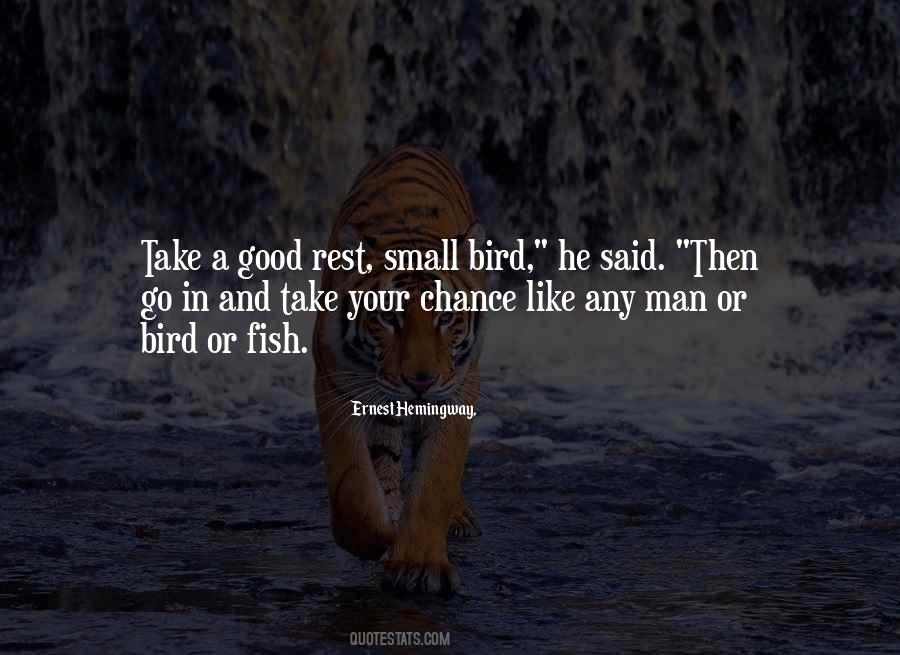 Take Your Chance Quotes #610185