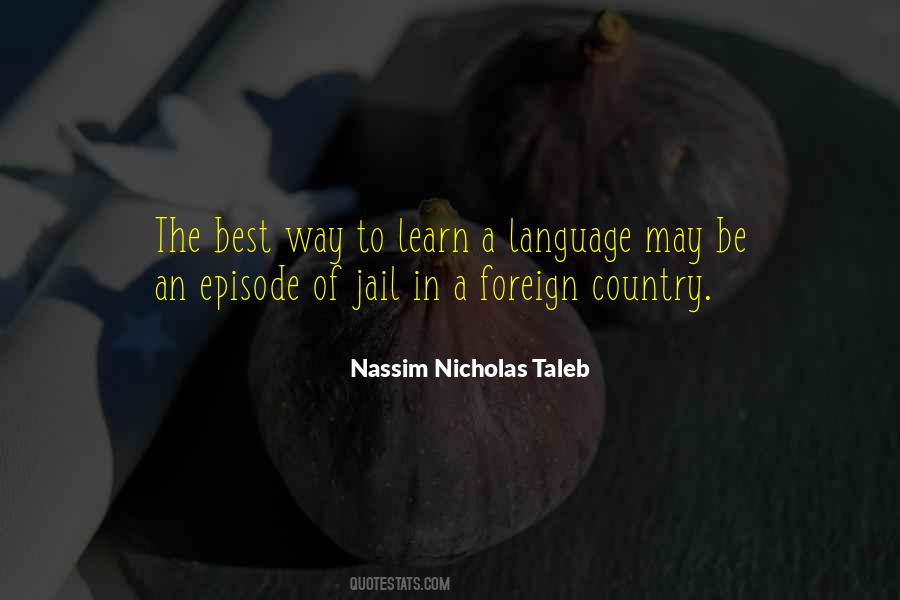 Taleb Quotes #45006