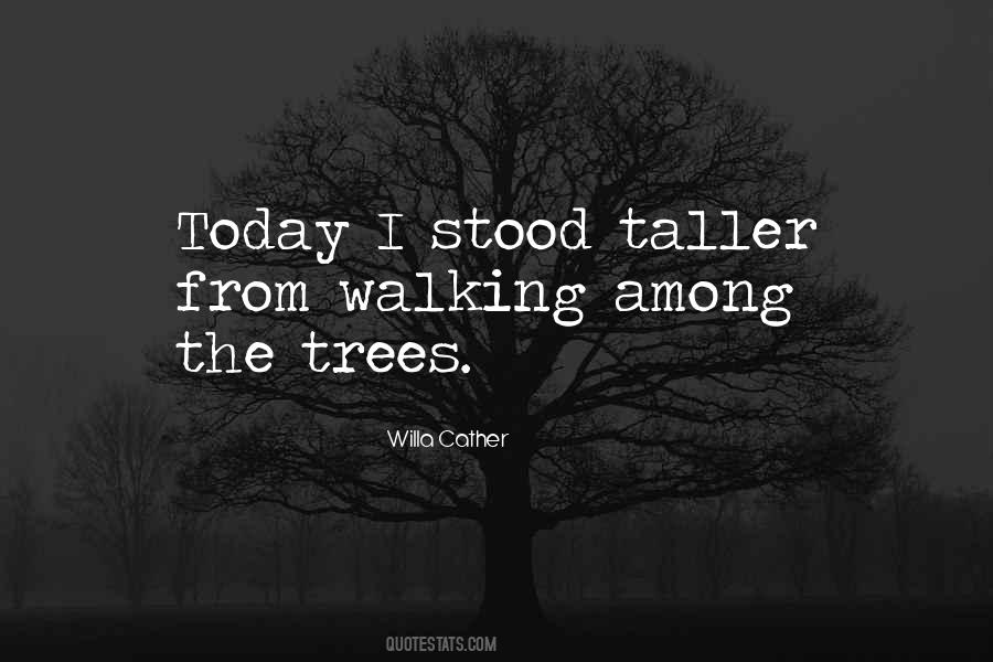 Taller Than Me Quotes #112604