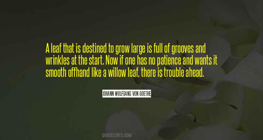 Quotes About Willow #181436 Quotes About Willow #181436