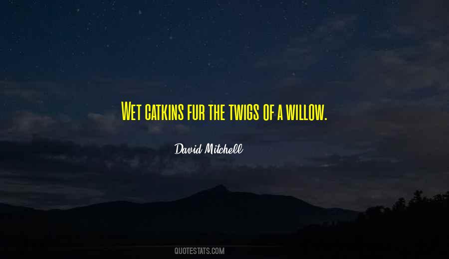 Quotes About Willow #391156