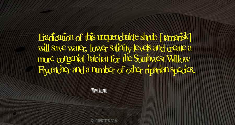 Quotes About Willow #70402